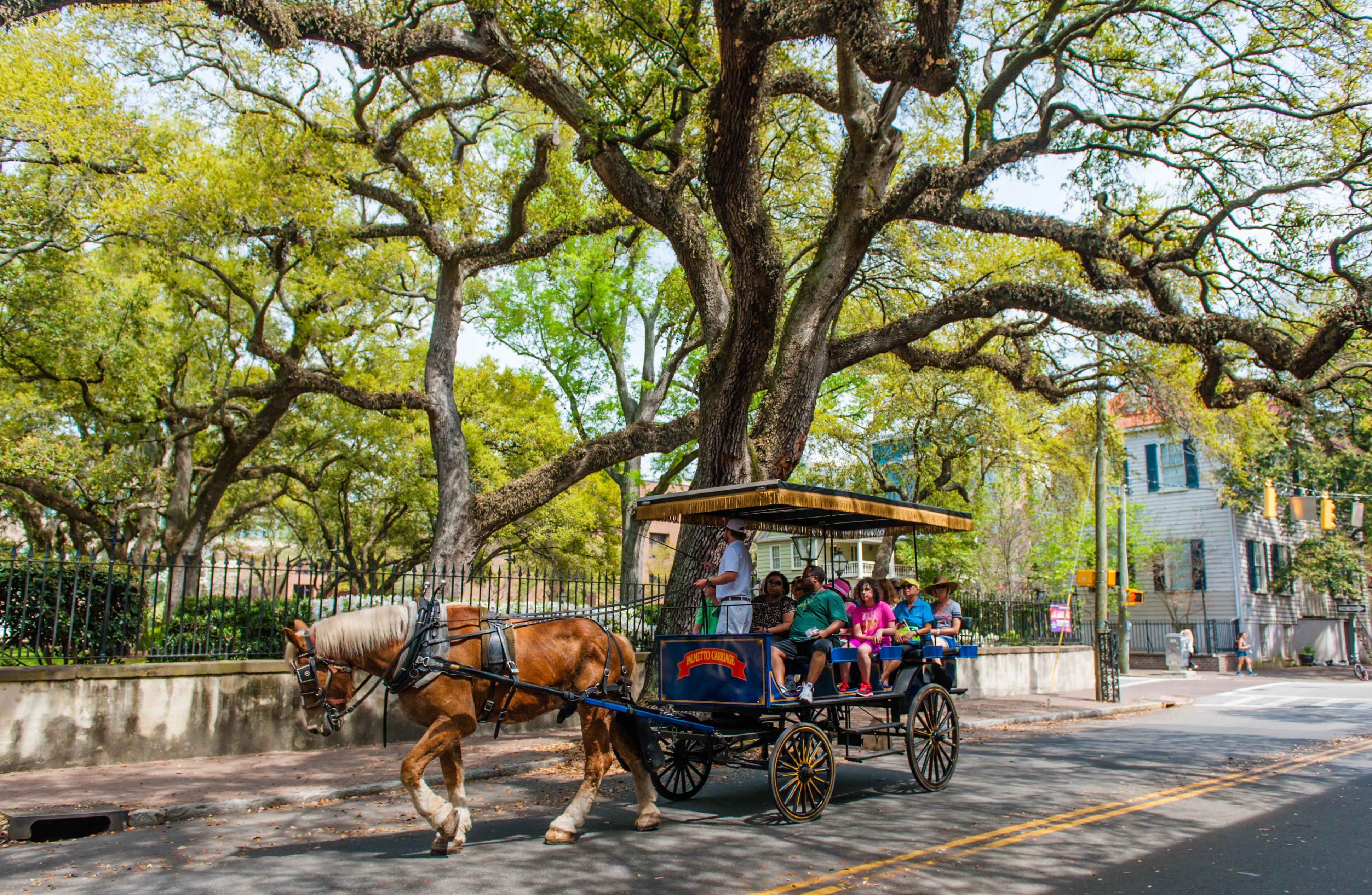 Candlewood Suites Charleston-Northwoods By Ihg Норт-Чарлстон Екстер'єр фото