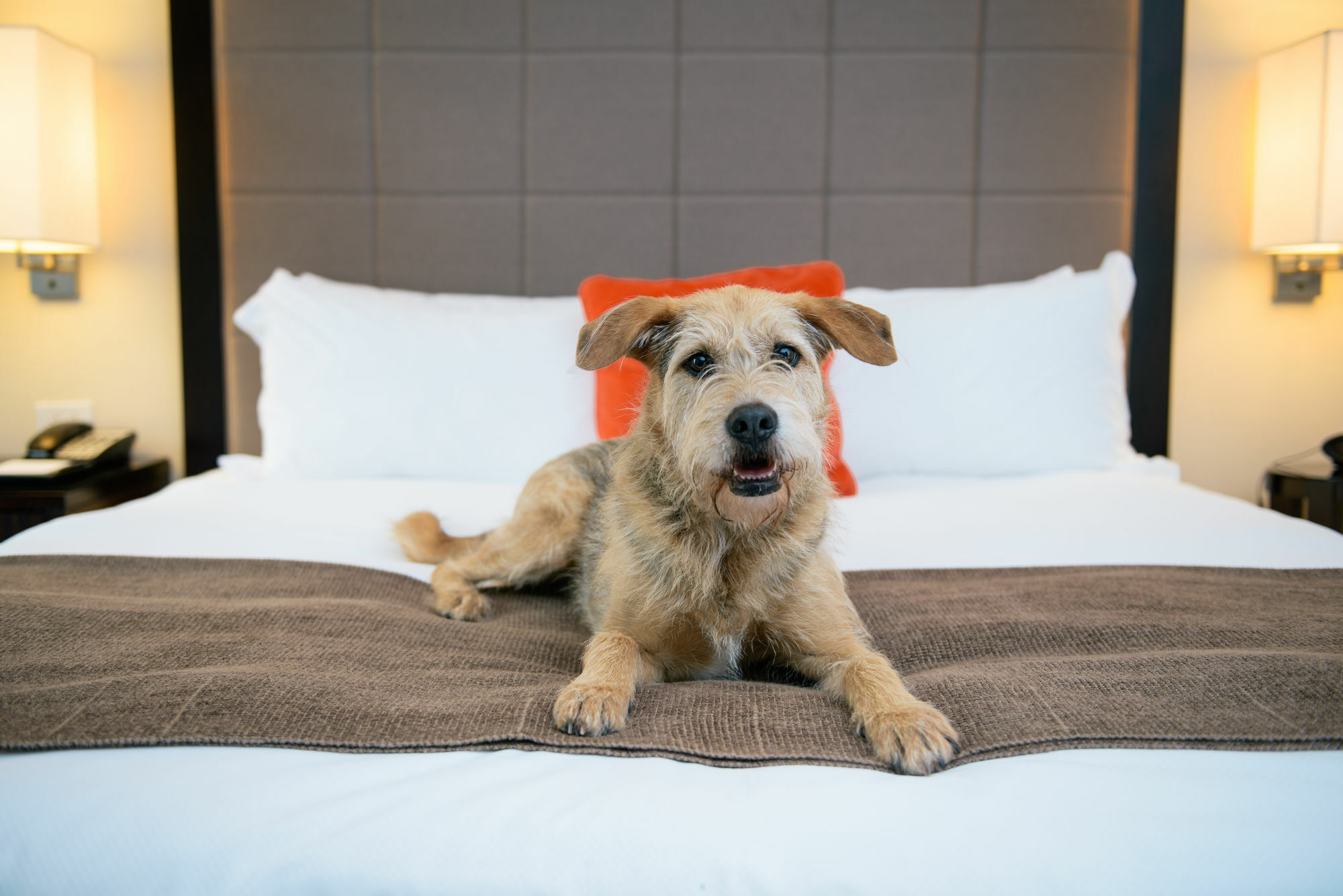 Candlewood Suites Charleston-Northwoods By Ihg Норт-Чарлстон Екстер'єр фото